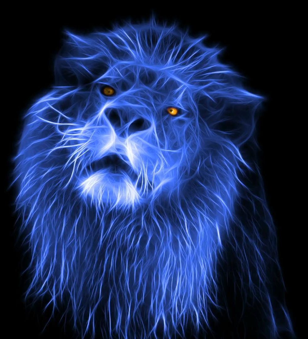 a blue lion. validus media digital marketing